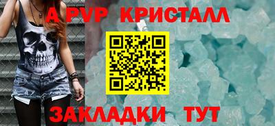 a pvp Кингисепп