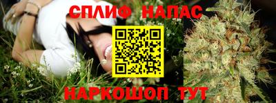 шишки Кинель