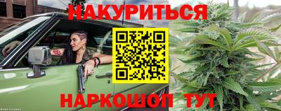 шишки Кинель