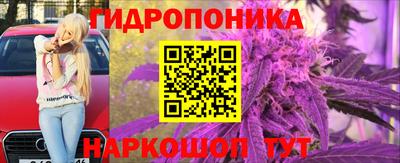 шишки Кинель