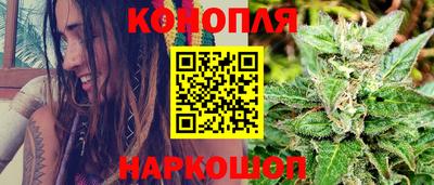 шишки Кинель