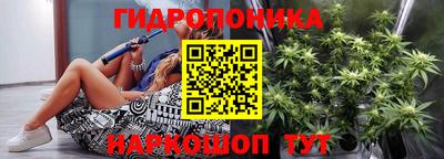 шишки Кинель