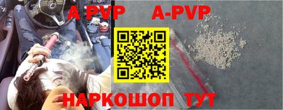 a pvp Кингисепп