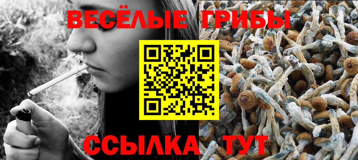 Галлюциногенные грибы GOLDEN TEACHER Киреевск