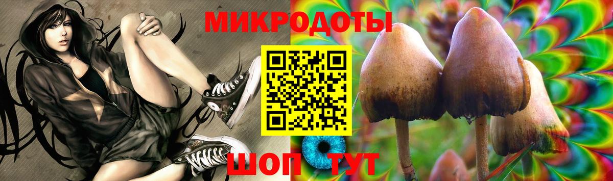 Псилоцибиновые грибы GOLDEN TEACHER  Вход с VPN  Киреевск 